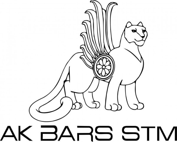 АК Барс раскраска