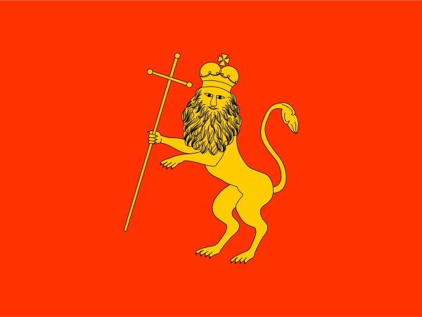 Флаг г Владимира