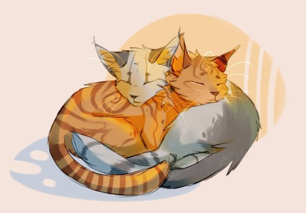 Коты Воители арт спит
