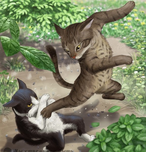 Коты Воители 2