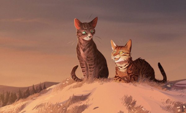Коты Воители ежевика и Коршун