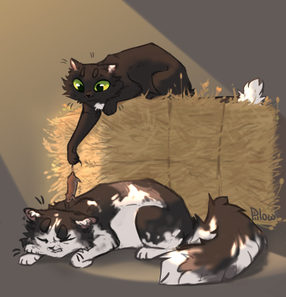Коты Воители Горелый и ячмень