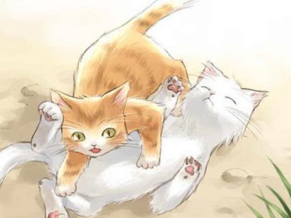 Рыжий кот аниме