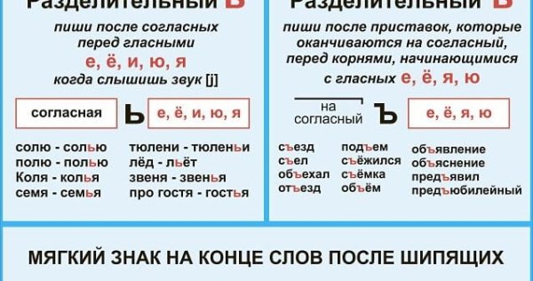 Разделительный мягкий знак и твердый знак