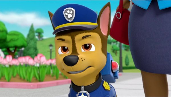 Paw Patrol гонщик