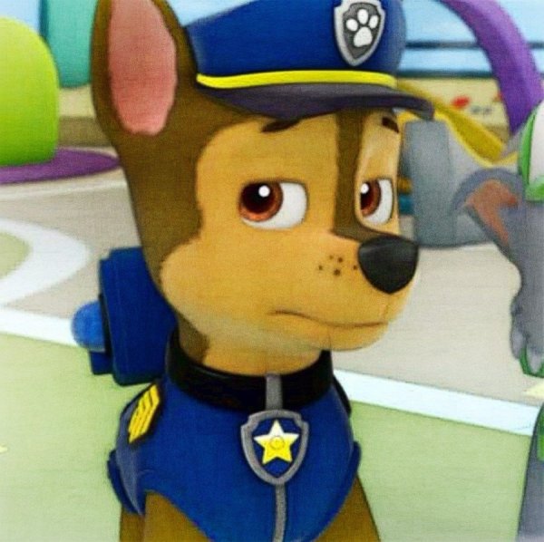 Чейз Paw Patrol