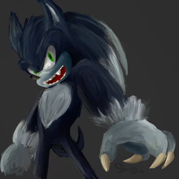 Sonic Werewolf
