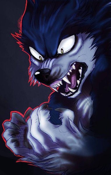 Sonic Werewolf