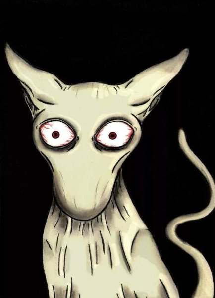 SCP 040 jp