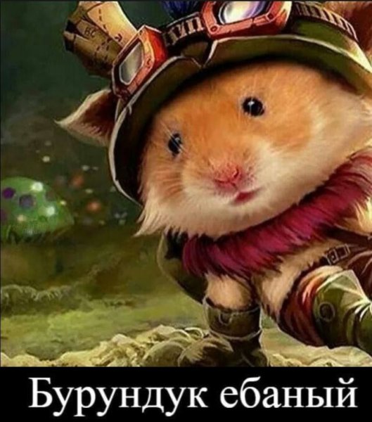 Тимо лига легенд