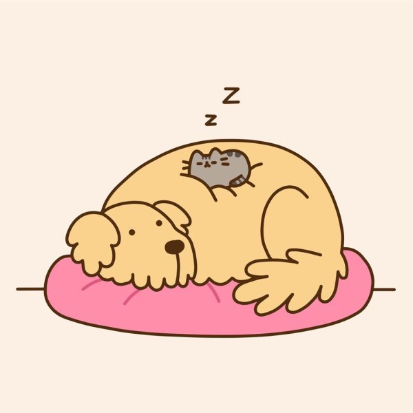 Кот Пушин и его друзья