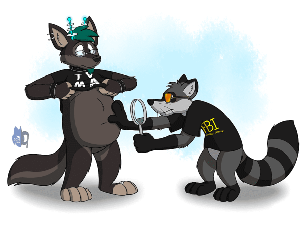 Furry Raccoon