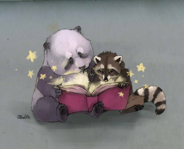 Медвежонок и енот