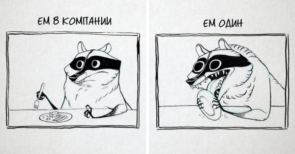 Енот и кот рисунок