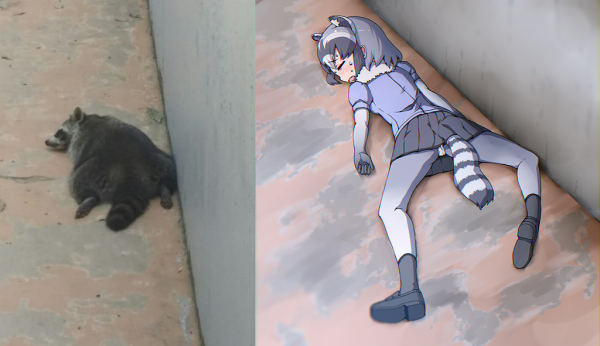 Енотик тян