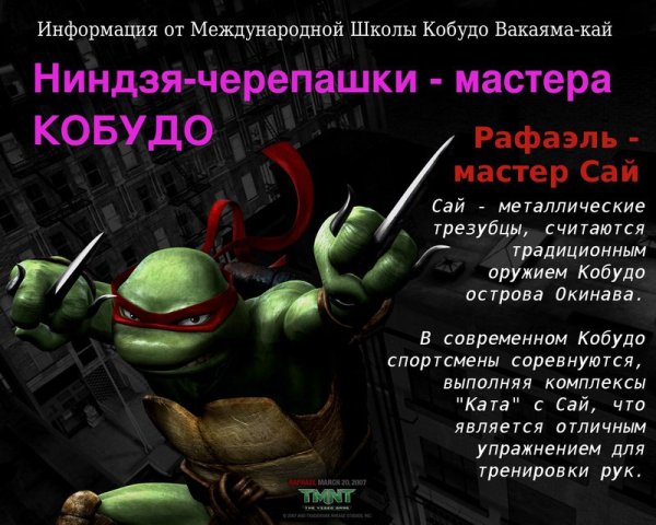 Расписание уроков Черепашки ниндзя