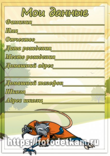 Портфолио черепахи