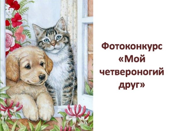 Мой Четвероногий друг