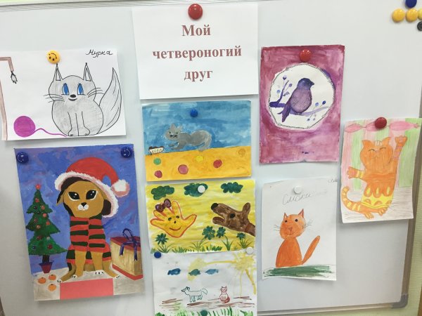 Мой Четвероногий друг