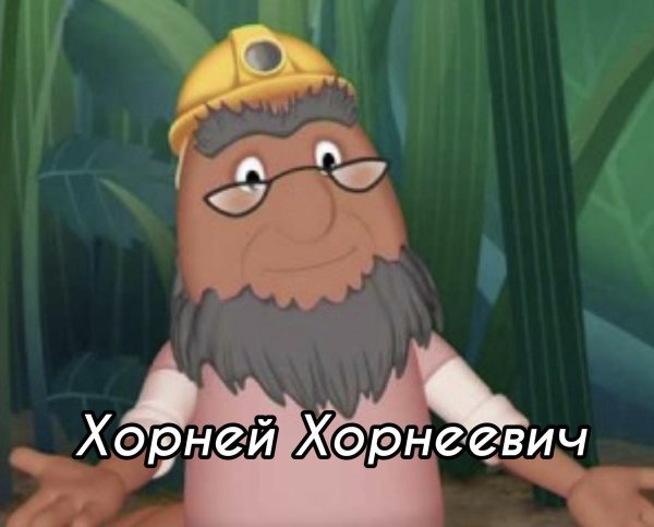 Корней Корнеич из Лунтика