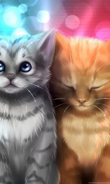 Арты котят