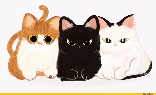 Котики арт
