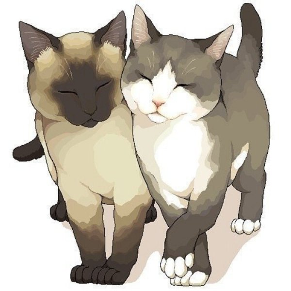 Кошачья любовь аниме