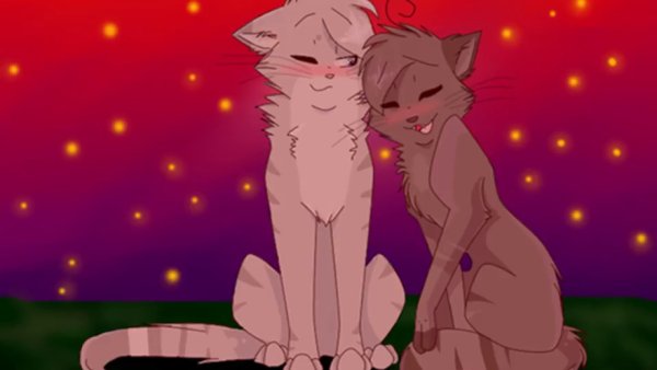 Коты Воители любовь