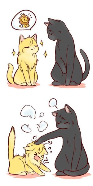 Котики обнимаются арт