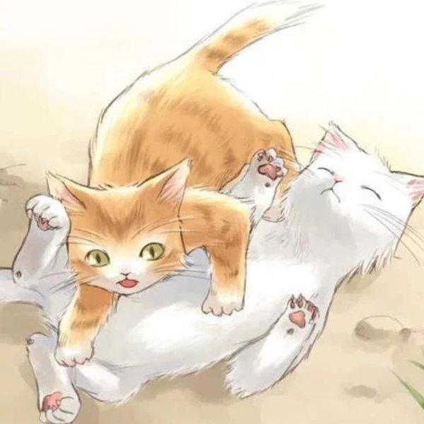 Рыжий кот аниме