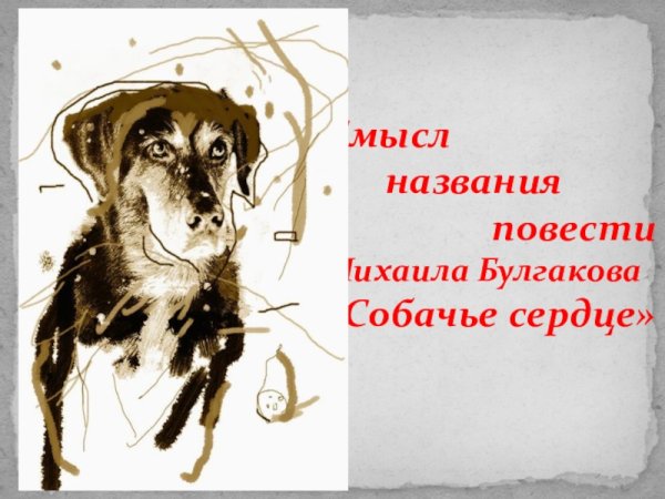 М. Булгаков "Собачье сердце"