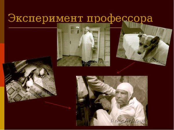 Булгаков Собачье сердце профессор