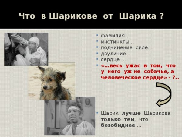 Собачье сердце человек собака