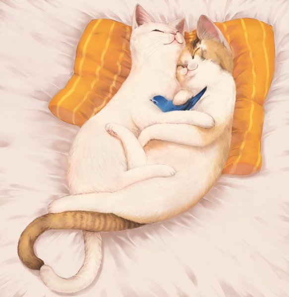 Спокойной ночи кошки в обнимку