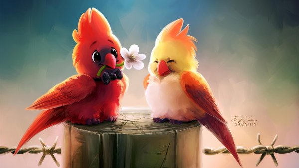 Любовь попугаев