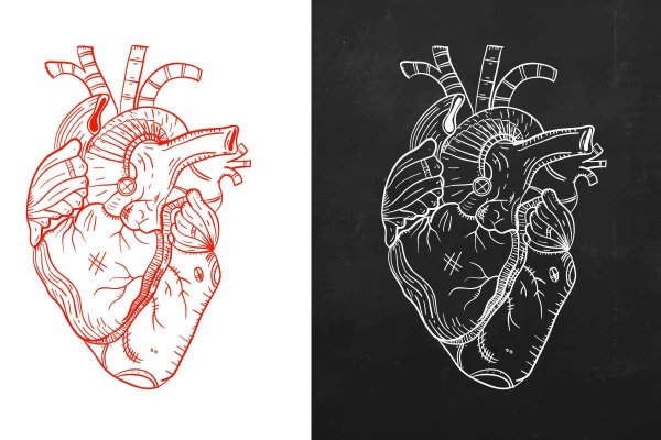 Трафареты анатомическое сердце (46 фото)