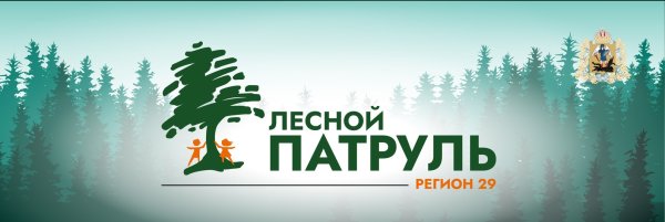 Девиз Лесной патруль