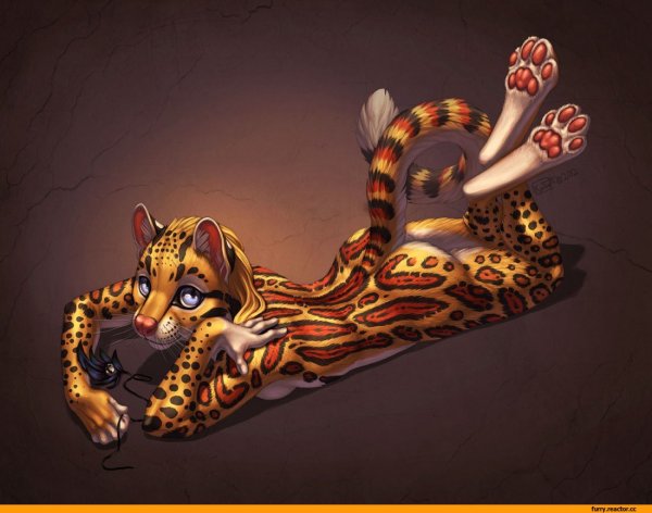 Оцелот furry