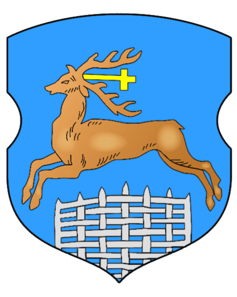 Флаг города Гродно