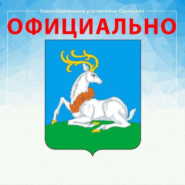 Герб и флаг Одинцово
