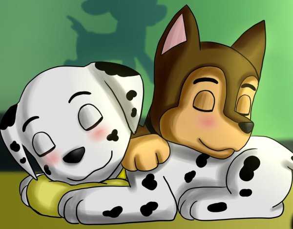 Paw Patrol Marshall x Chase