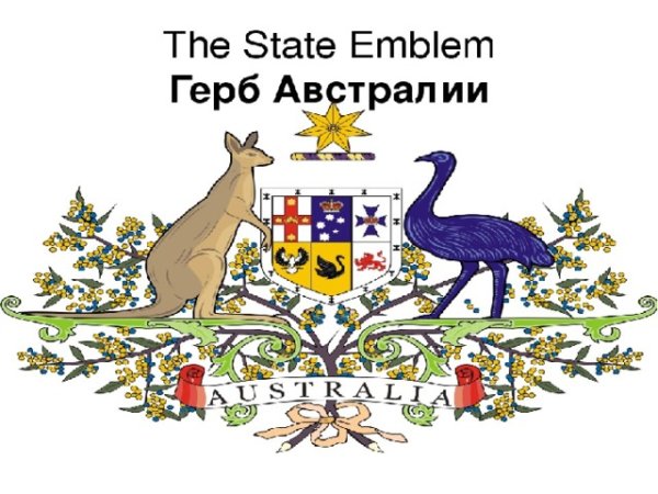 Птица на гербе Австралии