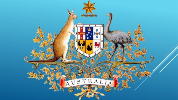 Страус эму - символ Австралии