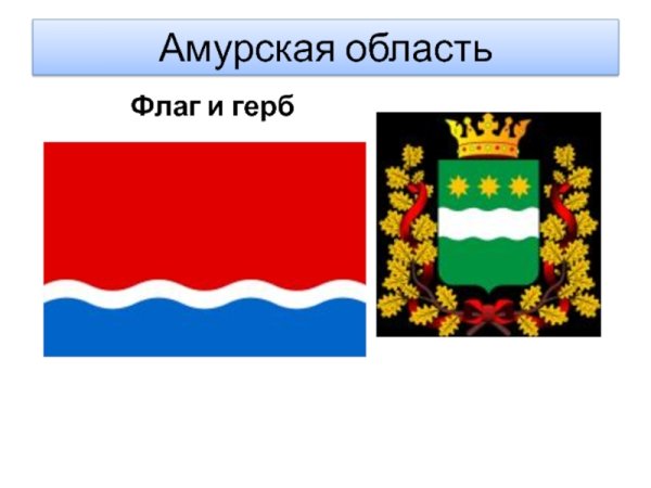 Герб и флаг Амурской области