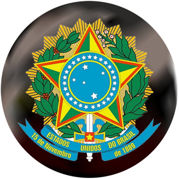 Герб Бразилии 2020