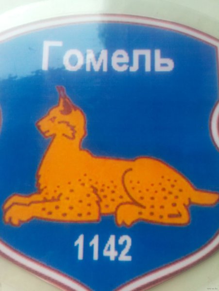Гомель 1142