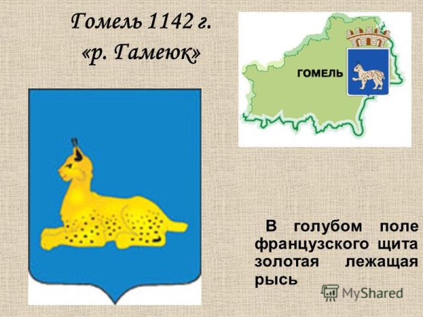 Рысь символ Гомеля