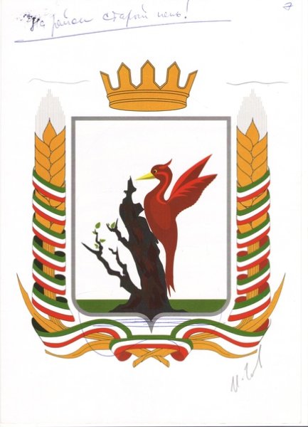 Флаг Елабуги