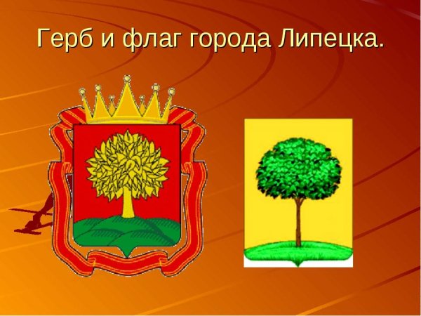 Флаг города Липецка