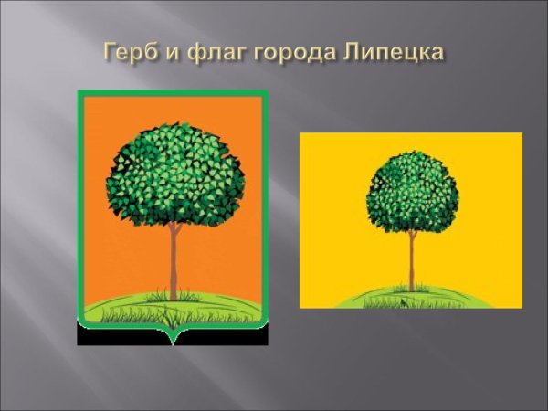 Липа герб Липецка